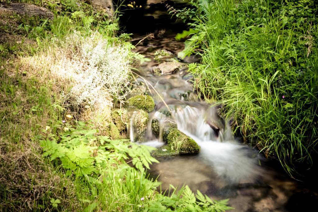 Auberge Du Moulin De Lere Vailly Bagian luar foto
